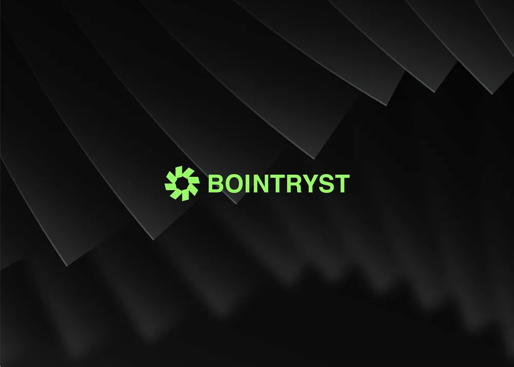 Bointryst logo by Ali Asaad
