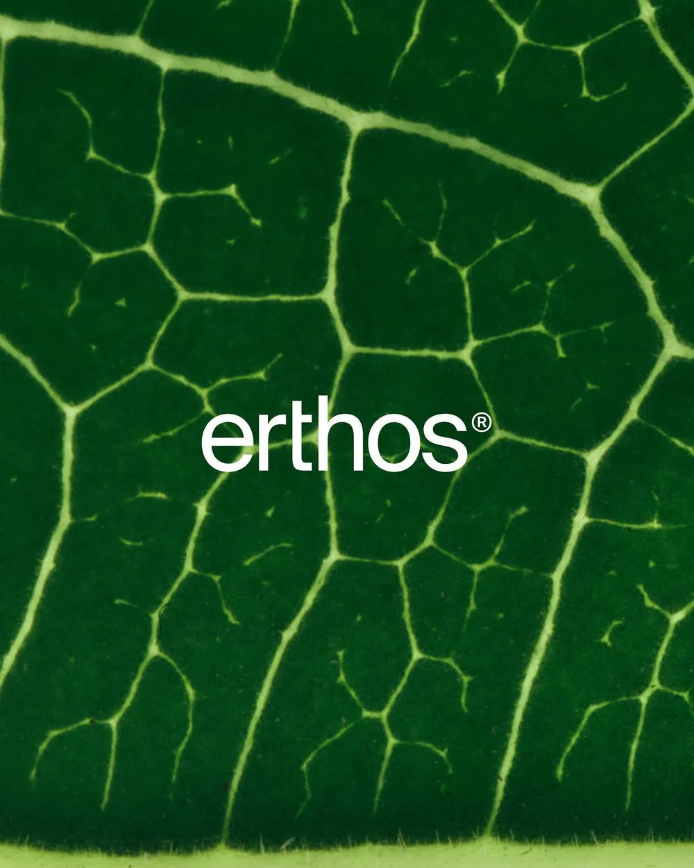 Erthos logo by WØRKS