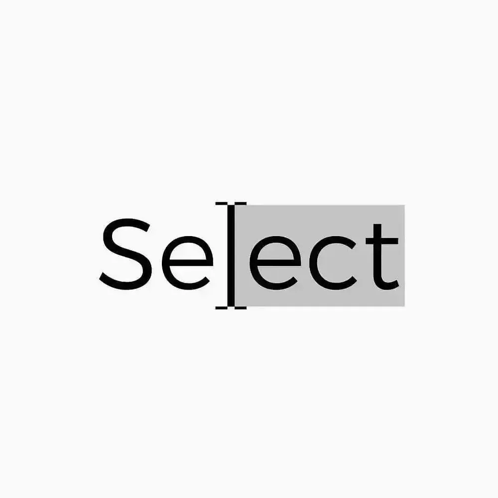 Select logo by Finalidea