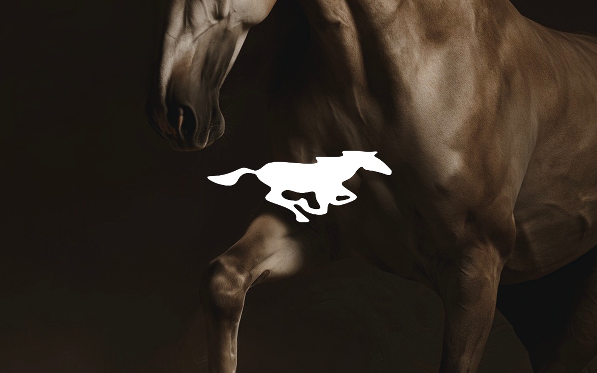 Equine Rehabilitation Horse Association